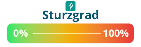 sturzgrad-skala